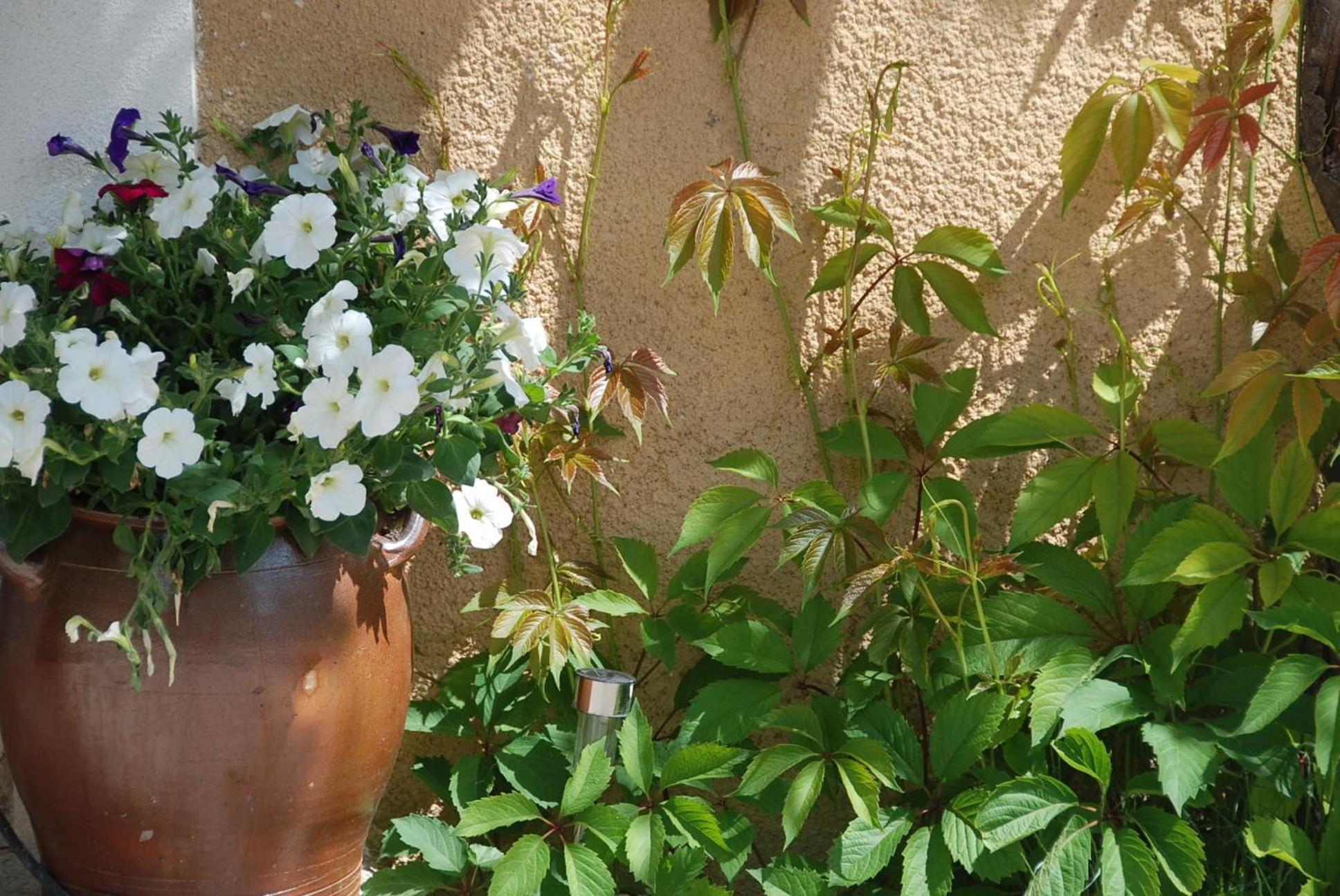Bed and Breakfast Le Domaine Saint Jean Exterior foto