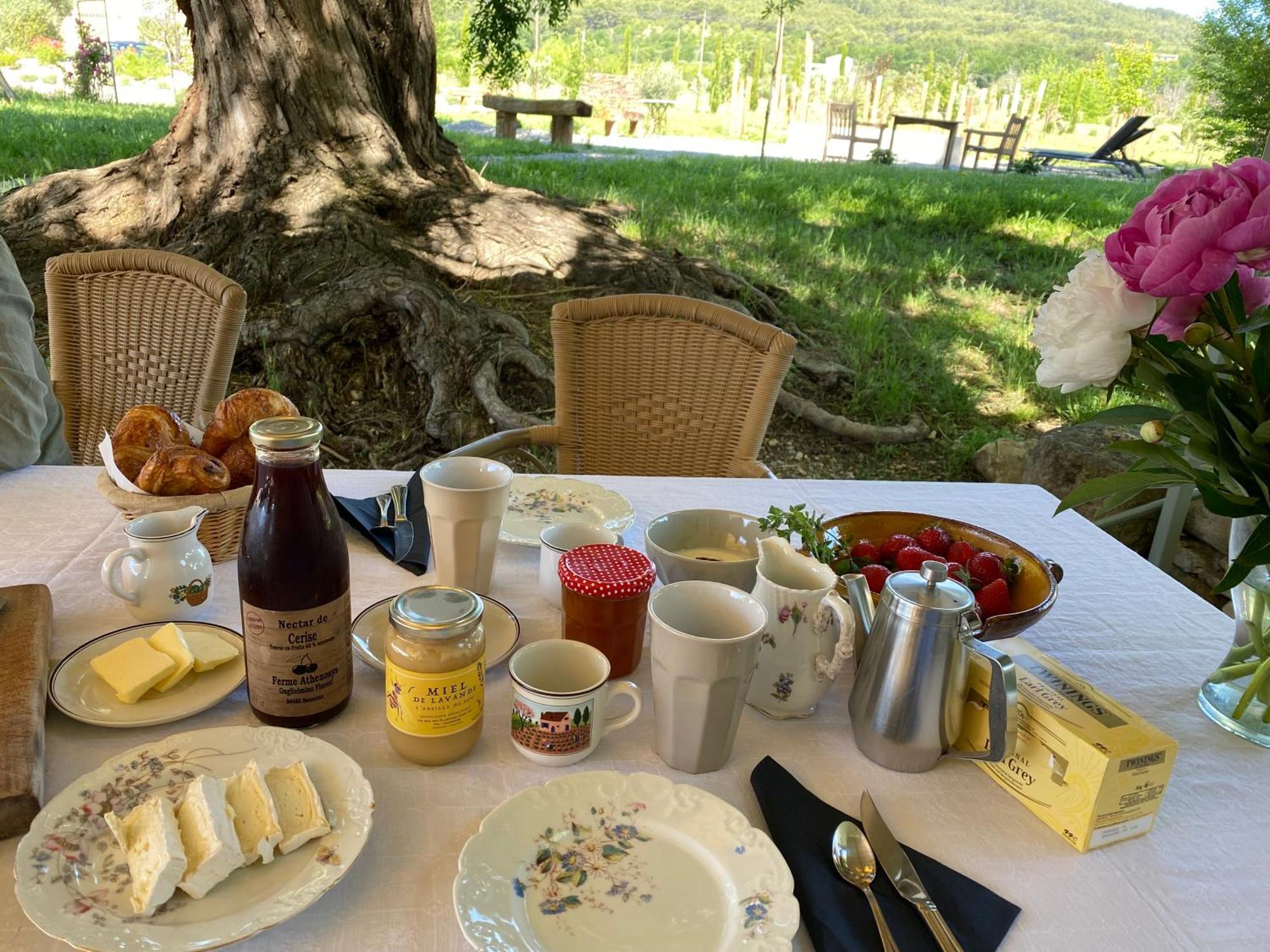 Bed and Breakfast Le Domaine Saint Jean Exterior foto